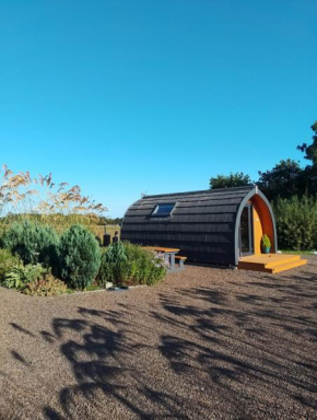 North Star Glamping